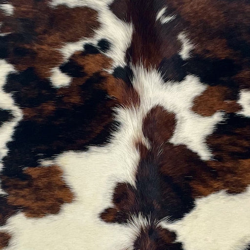 Closeup of this XS Tricolor Cowhide, showing large and small ivory spots, and spots that have a mix of brown and black (XS663)