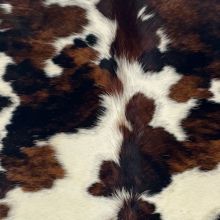 Closeup of this XS Tricolor Cowhide, showing large and small ivory spots, and spots that have a mix of brown and black (XS663)