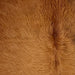 Closeup of this XS Reddish Brown Cowhide, showing long hair that is solid reddish brown  (XS671)