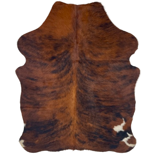 XS Reddish Brown and Black Brindle Cowhide: reddish brown with black, brindle markings and small, white spots on the hind shanks - 4'4" x 3'6" (XS673)