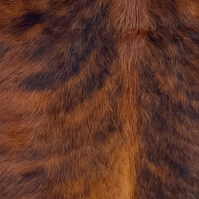 Closeup of this XS Brindle Cowhide, showing reddish brown with black, brindle markings (XS673)