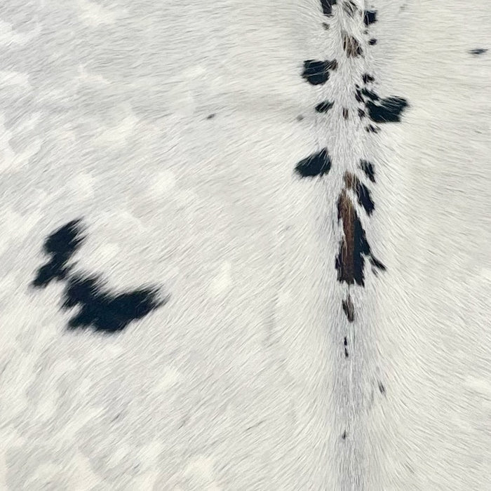 Closeup of this XS Cloudy Tricolor Cowhide, showing off-white with faint, cloudy spots and a few small, black and brown spots (XS675)