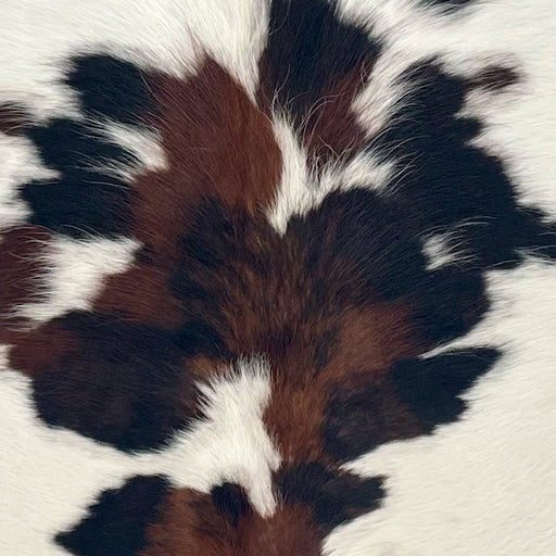 Closeup of this XS Tricolor Cowhide, showing white with large and small, black and brown spots (XS677)