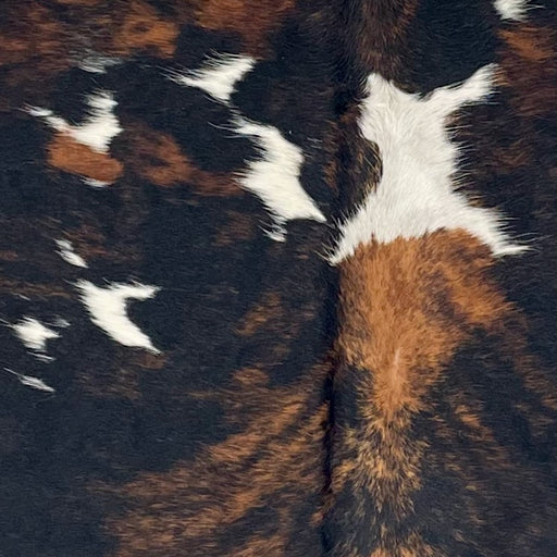 Closeup of this XS Tricolor Cowhide, showing a black and brown, brindle pattern and small, white spots (XS678)