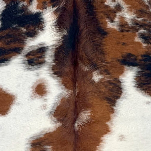 Closeup of this XS Tricolor Cowhide, showing white with reddish brown and black spots (XS680)