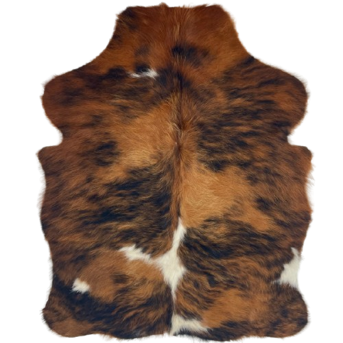 XS Reddish Brown and Black Brindle Cowhide: reddish brown and golden brown with black, brindle markings, and a few small, white spots - 4'5" x 3'6" (XS681)