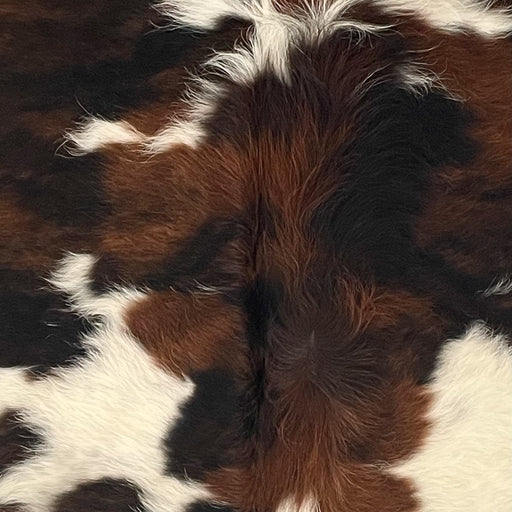 Closeup of this XS Tricolor Cowhide, showing a mix of reddish brown and black, with white spots and long hair down the middle  (XS684)