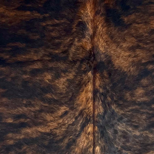 Closeup of this XS  Brindle Cowhide: brown with black, brindle markings (XS686)