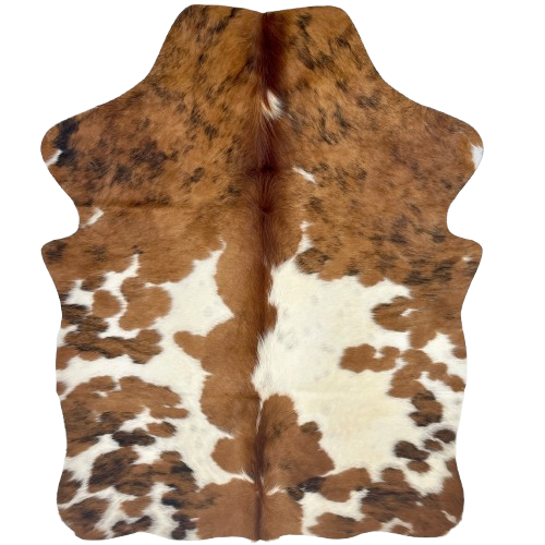 XS Tricolor Cowhide: off-white with large and small spots that have a brown and black, brindle pattern, and long, reddish brown hair down the spine - 4'4" x 3'6" (XS687)