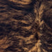 Closeup of this XS Brindle Cowhide, showing long hair that is brown with black, brindle markings  (XS689)