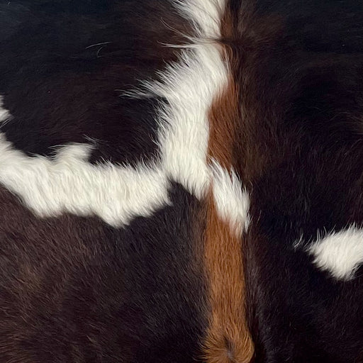 Closeup of this XS Dark TricolorCowhide, showing a mix of dark brown, black, and reddish brown, with white spots, and white and reddish brown, longer hair, down the spine (XS692)