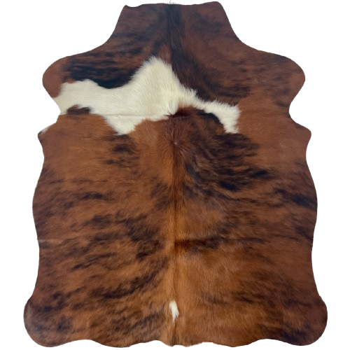 XS Tricolor Cowhide: has a reddish brown and black, brindle pattern with a white strip across the shoulder and a small, white spot on the butt - 4'4" x 3'5" (XS693)