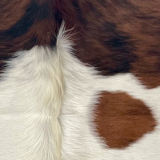Closeup of this XS Tricolor Cowhide, showing a reddish brown and black, brindle pattern, with a large white strip across the middle (XS697)