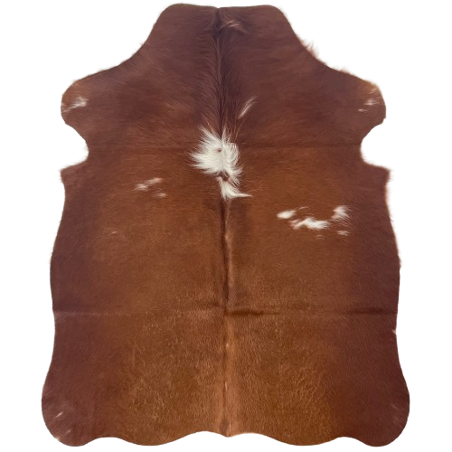 XS Red Brown and White Cowhide:r ed brown with a few small, white spots, and long hair down part of the spine - 4'5" x 3'3" (XS698)