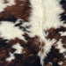 Closeup of this XS Tricolor Cowhide, showing long hair that has a mix of black and red brown, small and large, white spots, and long hair down the spine   (XS699)