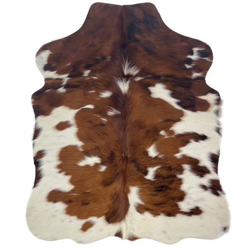 XS Tricolor Cowhide: off-white with large reddish brown and black spots, and long hair down the spine - 4'5" x 3'6" (XS702)