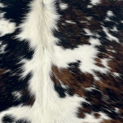 Closeup of this XS Tricolor Cowhide, showing ivory with black and brown spots (XS703)