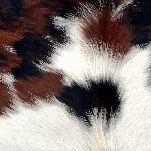 Closeup of this XS Tricolor Cowhide, showing white with small and large spots that have a mix of black and brown  (XS705)