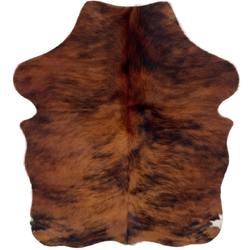 XS Red Brown and Black Brindle Cowhide: red brown with black, brindle markings, and longer hair down the spine - 4'4"  3'5" (XS707)