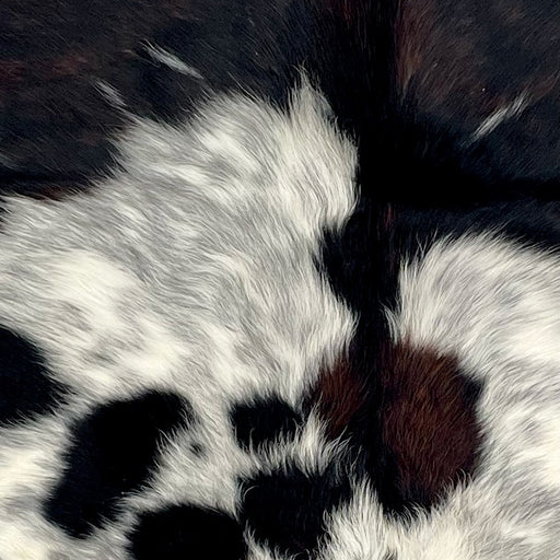 Closeup of this XS Speckled Tricolor Cowhide, showing white with large and small spots with a mix of black and dark brown, and faint, black, speckled spots  (XS708)