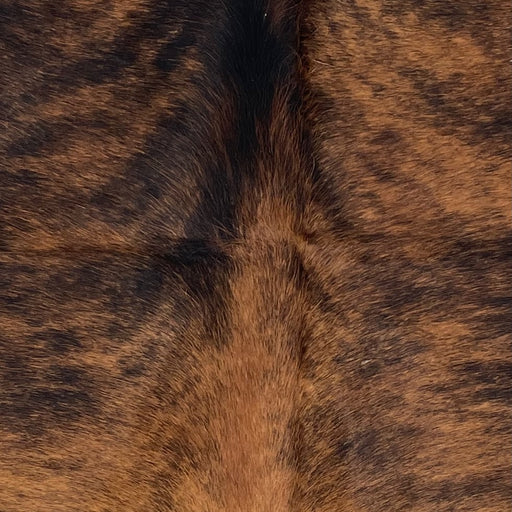 Closeup of this XS Brindle Cowhide, showing brown with black, brindle markings  (XS711)