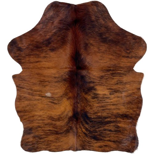 XS Reddish Brown and Black Brindle Cowhide: reddish brown with black, brindle markings - 4'4" x 3'4" (XS713)