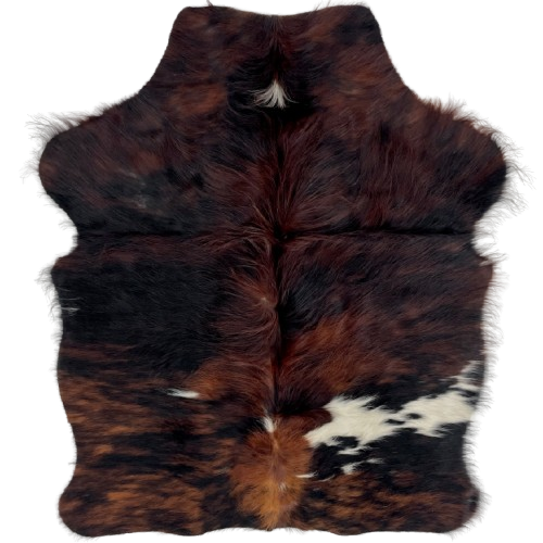 XS Tricolor Cowhide: has long hair that is a mix of reddish brown and black, and a few white spots on the back - 4'4" x 3'4" (XS714)