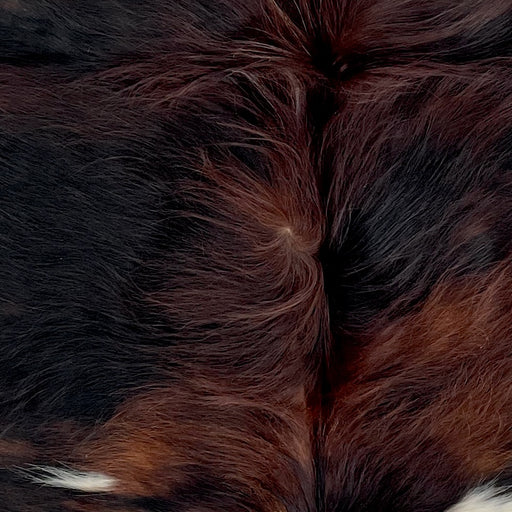Closeup of this XS Tricolor Cowhide, showing long hair that is a mix of reddish brown and black, and a few white spots on the back (XS714)
