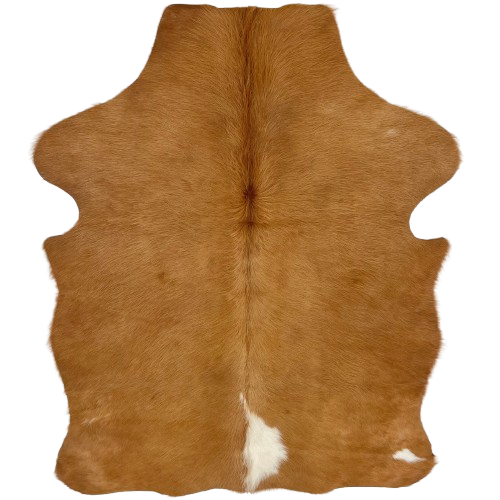 XS Brown Cowhide: brown with on white spot in the middle of the butt and another on the right, hind shank - 4'5" x 3'4" (XS716)