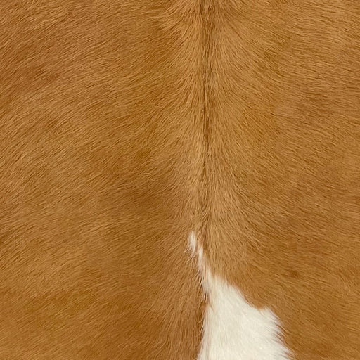 Closeup of this XS Cowhide, showing brown with on white spot in the middle of the butt (XS716)