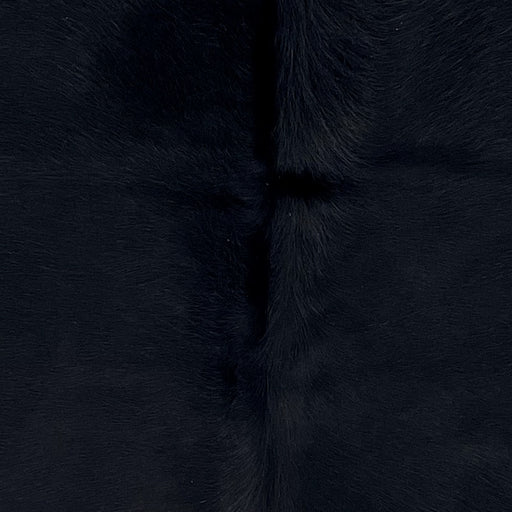 Closeup of this XS Cowhide, showing solid black with longer hair down the spine  (XS719)