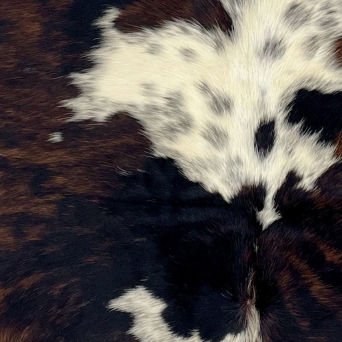 Closeup of this XS Tricolor Cowhide, showing a mix of black and brown, and one large and a few small, white spots that have back spots and speckles  (XS720)