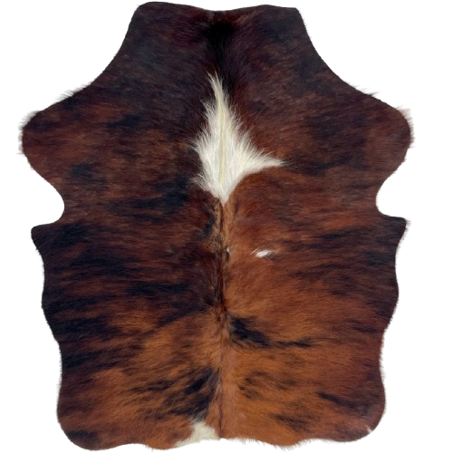 XS Red Brown and Black Brindle Cowhide:    has long hair that is red brown with black, brindle markings, and one large, white spot in the middle of the shoulder and a small, white spot on the right side of the back  - 4'5" x 3'5" (XS721)