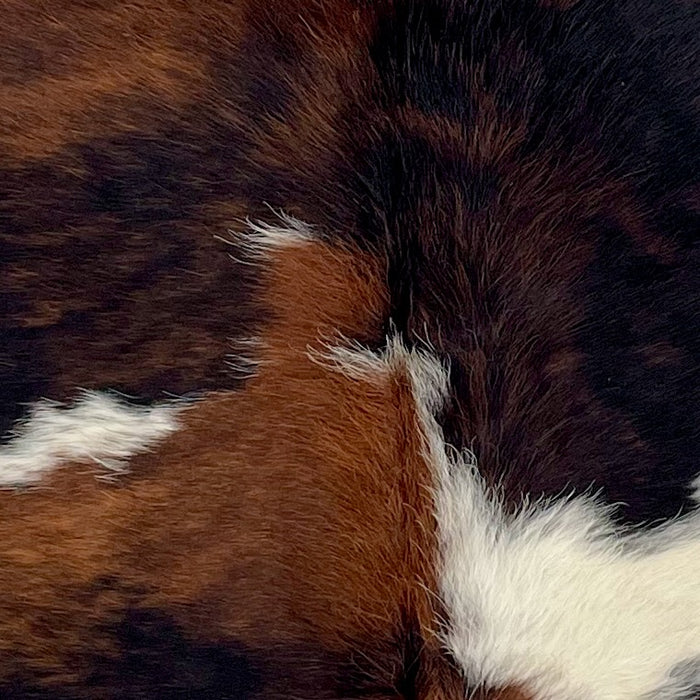 Closeup of this XS Tricolor Cowhide, showing a mix of black and reddish brown, and a few white spots across the middle  (XS723)