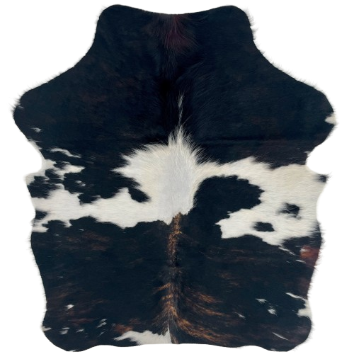 XS Dark Tricolor Cowhide: black with brown, brindle markings and a few small, white spots on the lower half, white across the middle, and longer hair down the middle of the shoulder - 4'3" x 3'5" (XS725)