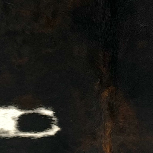 Closeup of this XS Dark Tricolor Cowhide, showing mostly black, with some dark brown mixed in, and one white spot on the left side of the back (XS727)