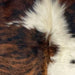 Closeup of this XS Tricolor Cowhide, showing a brown and black, brindle pattern with white spots, and long hair down the middle of the shoulder  (XS730)