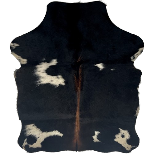 XS Black and White Cowhide: black with white and off-white spots, and reddish brown down the middle - 4'3" x 3'3" (XS734)