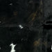 Closeup of this XS Dark Tricolor Cowhide, showing black with dark reddish brown spots, white spots that have black speckles, and a beautiful, natural sheen  (XS737)