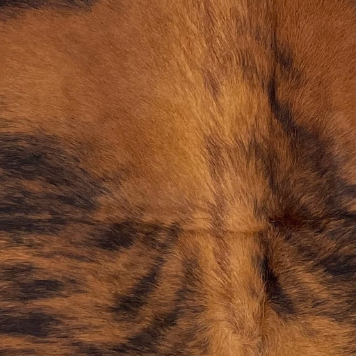 Closeup of this XS Brindle Cowhide, showing red brown with black, brindle markings  (XS738)