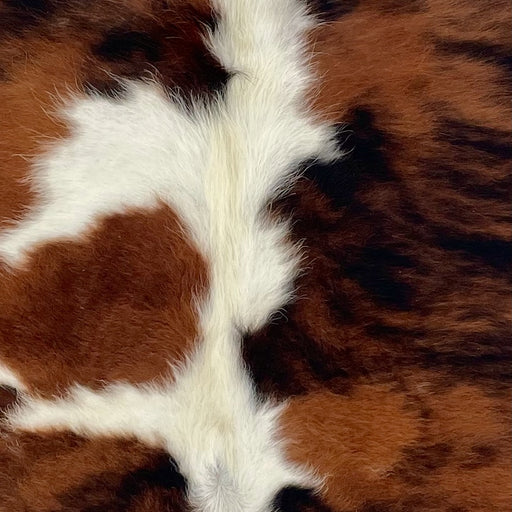 Closeup of this XS Tricolor Cowhide, showing a reddish brown and black, brindle pattern, and white, longer hair down the middle  (XS739)