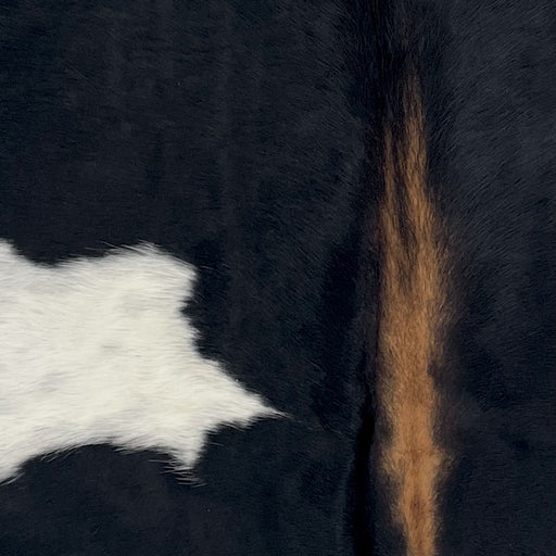Closeup of this XS Cowhide, showing black with one large, white spot that has faint, black speckles, and brown down part of the spine (XS741)