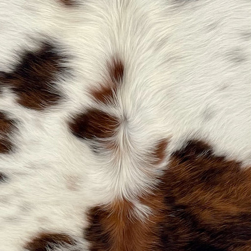 Closeup of this XS Tricolor Cowhide, showing long hair with large and small spots that have a black and reddish brown, brindle pattern, and white with black speckles (XS742)