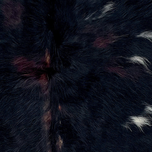 Closeup of this XS Dark Tricolor Cowhide, showing long hair with a mix of black and dark brown, and small, white spots  (XS743)