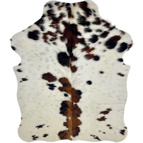 XS Tricolor Cowhide: off-white with spots that have a mix of brown and black, faint, black speckles, and long hair down the middle of the shoulder - 4'4" x 3'5" (XS747)