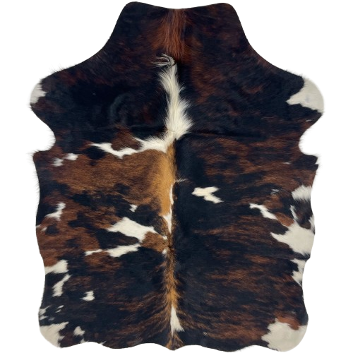 XS Tricolor Cowhide: has a mix of black and brown, white spots, and longer hair down the middle of the shoulder - 4'5" x 3'5" (XS754)