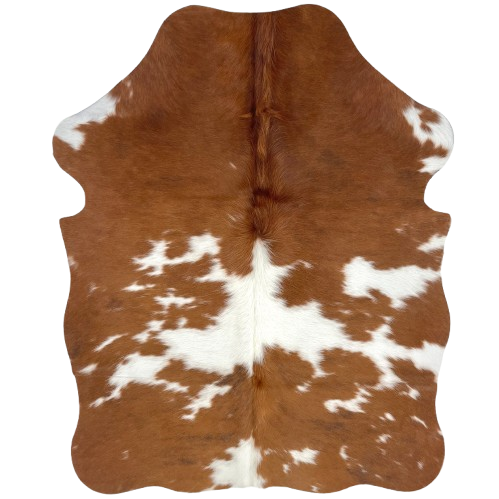 XS Brown and White Cowhide: brown with large and small, white spots, and longer hair down the spine - 4'4" x 3'4" (XS756)