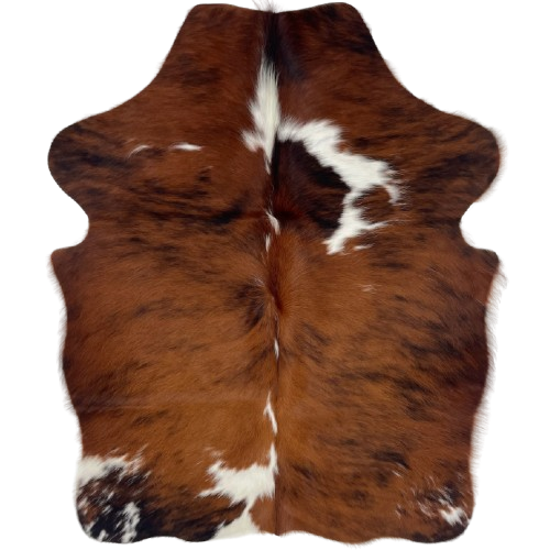 XS Tricolor Cowhide: has a black and reddish brown, brindle pattern and a few white spots - 4'4" x 3'5" (XS759)