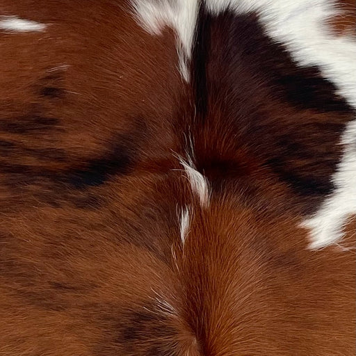 Closeup of this XS Tricolor Cowhide, showing a black and reddish brown, brindle pattern and a few white spots  (XS759)