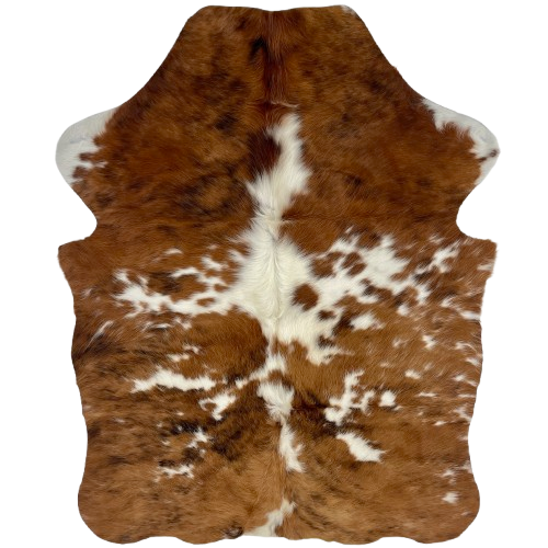 XS Tricolor Cowhide: brown with small, black and white spots, and a large, white spot with longer hair down the spine - 4'4" x 3'4" (XS762)